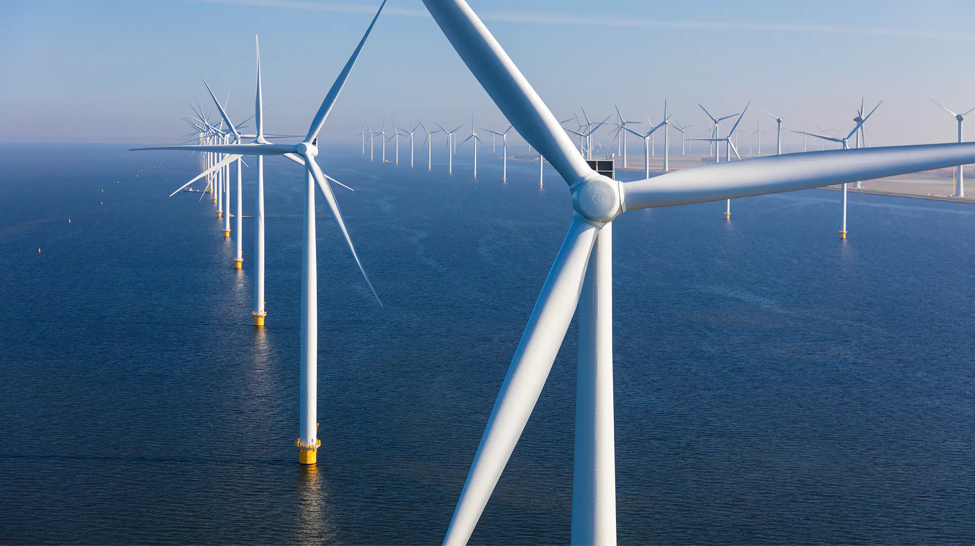 Ventus Energy